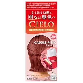 hcf HAIR COLOR FOUNDATION カラーリング剤　１剤17本 hcf HAIR COLOR FOUNDATION カラーリング剤 1剤17本 hcf HAIR